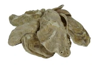 Air Aqua Oesterschelpen 10 Liter Emmer - Afbeelding 2