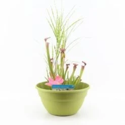 Mini Vijver Kunststof Limegroen - 2 Stuks