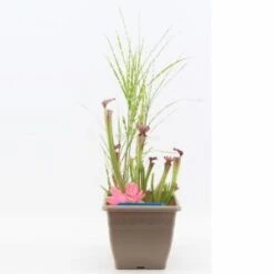 Mini Vijver Vierkant Kunststof Taupe - 2 Stuks