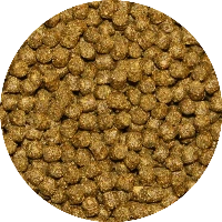 Vivani Koivoer Color Met Spirulina 3mm 5 Liter Emmer